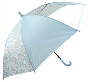  ԁE AeC ATTAIN P P WvP LbY 55cm OXt@Co[ 킢  v ʊw oZ ^b`