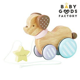 エドインター Ed.Inter Candy Puppy キャンディーパピー プルトイ 玩具 おもちゃ 木のおもちゃ 木製玩具 オモチャ 1歳 2歳