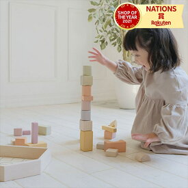エドインター Ed.Inter つみきのいえL 木のおもちゃ 木製玩具 積み木 つみき ブロック 日本製 玩具 おもちゃ オモチャ 1歳 2歳