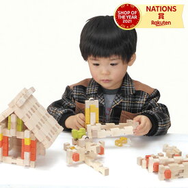 エドインター Ed.Inter ユークリッドブロック 木のおもちゃ 木製玩具 玩具 おもちゃ オモチャ 積み木 つみき ブロック 3歳 4歳 5歳