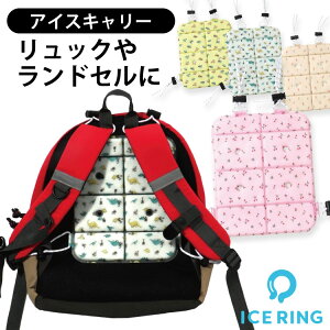 ACXL[ bN hZ ΍ ICE CARRY MǑ΍ M \h Ђ ⊴ w₷ bNɑ  ʉ ʊw W[ SUO yF.O.C^[iViK̔