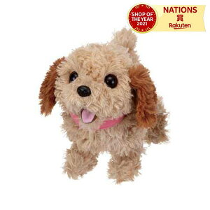 ꂵoNnc łނRbJv[ q Q[ l`V  ʂ ybg NX}X Vт₷