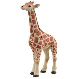 AjA AS|12 LiA~Lqǂj 3Έȏ ^Jg~[ M~bNttBMAV[Y V ̂ЂTCY