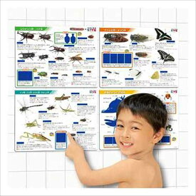 こたえがでてくる！おふろでスタディ！学研の図鑑LIVE昆虫 パイロットインキ 3歳以上 バストイ お風呂 浴玩 お風呂のおもちゃ 子ども こども キッズ 男の子 女の子 玩具