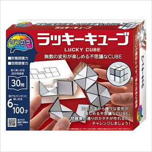 68932 かつのうラッキーキューブ パズル 立体パズル ゲーム 脳トレ おうち 子供 小学生 プレゼント 誕生日 おもちゃ 玩具 頭の体操