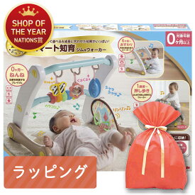 ＼レビュープレゼント／ うちの赤ちゃん世界一 スマート知育ジム＆ウォーカー メリー ジム プレイジム ビジーボード ウォーカー 赤ちゃん 成長 眠り 知育玩具 男の子 女の子 出産祝い ぬいぐるみ 手遊び ギフト おもちゃ こども 子供 知育 勉強 ベビー 0歳 ピープル People