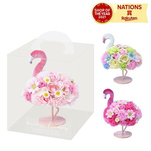 O[nEX t~S\[vt[ CgsN ~bNX pbVsN Ό t[  Ϗܗp  킢  G