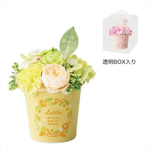 hJuL\[vt[CG[ GREEN HOUSE \[vt[Mtg i`eCXg  |bg pXeJ[ |G t[Mtg