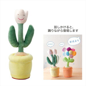 ǂ`[bv GREEN HOUSE ʂ ^@\ USB[d ׂ@\t yVׂ  CeA 킢