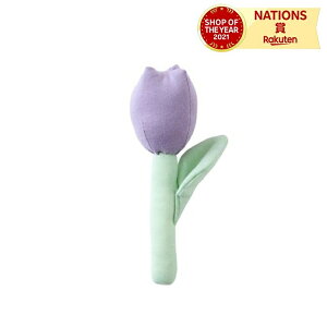 organic `[bṽg ͂Ȃ̃g  Ԍ^ g KK 炪 ɂɂ jMjM z `[bv ht@~[