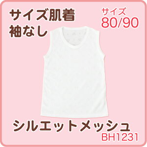 y10OFFN[|P5{zAEgbg݌ɏTCY@ȂVGbgbVtđfށi80/90TCYjȎX[s}Rbg100gp@@xr[@Z@V@o