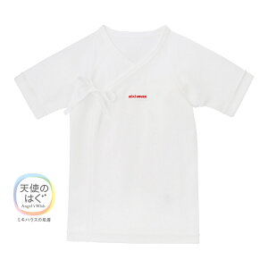 y11/25聚Iōő100|CgobNz~LnEX sAx[ S tCX Z 50 60 cm oYj Mtg xr[   xr[ q xr[ Ԃ V 0 j