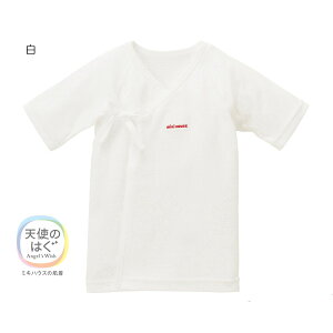 y11/25聚Iōő100|CgobNz~LnEX sAx[ S jbgK[[ Z 50 60 cm oYj Mtg  xr[   xr[ q xr[ Ԃ V 0