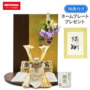 y11/25聚Iōő100|CgobNz~LnEX ܌l` RpNg    q̓ CeA S[h  { L䒃 VΊ ߋ [߂̐ߋ 5l` 