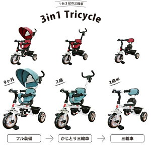 3in1 Tricycle 艟 _ Ƃ JWL O֎ p TVF[h q 蕨 Vv IV mL 1 2 c gyWF[eB[V[ JTCz