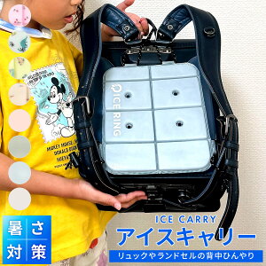 ICE CARRY ACXL[ SUO XI ACXO ۗ▍ ۗ M M܂ wpbh bN hZ  p ⊴ ΍ObY MǑ΍ObY ΍  Ђ ۗ q