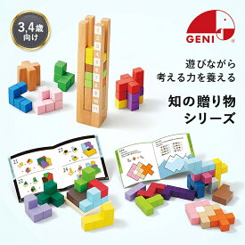 エドインター 知の贈り物 育脳タワー 賢人パズル 立体パズル 知育玩具 知育おもちゃ 脳トレ 木製玩具 木のおもちゃ ブロック パズル 2歳 3歳 4歳 知育 思考力 誕生日 プレゼント 男の子 女の子 ギフト ジェニ GENI