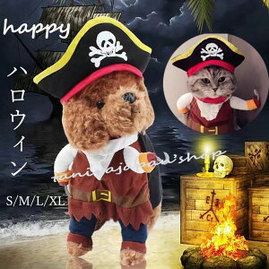 y X[p[SALE P10{UPznEB RXv  L ybg nEB ybg ߑ  C RX`[ ObY H ~ ϑ t`uhbO ybg   RXv 