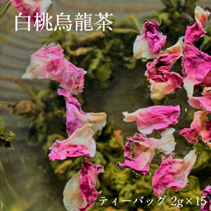 �y�����G���� �e�B�[�o�b�O 2g×15�z