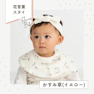 lien de famille { X^C 100% ԕ X^C ~`  {  킢 傫 悾ꂩ 360x K[[ ru xr[ ̎q oYj v[g v`Mtg \Z 2000~ Ԃ  