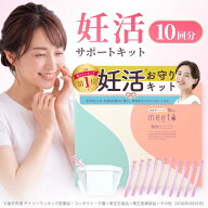 ★SS開催！500円クーポン使える★シリンジ キット シリンジ法 meeta ミータ (10回分 日本製 医師監修) 家…
