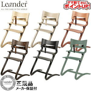 y}}ł |CgUPIzG_[ nC`FAZ[teB[o[/@HX^[gZbg K[ht ؐ Vv xr[`FA H  `FA ߉\ L