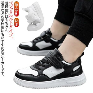 LbY Xj[J[ h ̎q j̎q q C V[Y [Jbg ɂ q ʊwC WjA  j hXj[J[ }WbNe[v 18cm`24cm wZ w w ₷ y