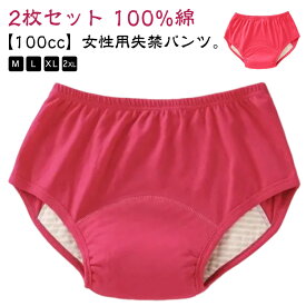 失禁パンツ 100cc 女性用 尿漏れパンツ 2枚組 介護パンツ 下着 中度失禁 軽失禁 尿失禁 尿モレ 尿漏れ パンツ 女性 中度失禁パンツ 軽度失禁パンツ パッド付き 介護ショーツ 失禁ショーツ 春 夏 秋 冬 介護衣料 100%綿 大きいサイズ 無地 シンプル 【送料無料】