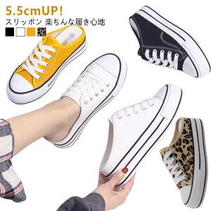 Xj[J[ ƂȂ wlC Cq[ T_ YbNC fB[X LoXV[Y Xj[J[  Xbp y y ₷  Ȃ t T{ Xb| X