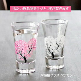 丸モ高木陶器 冷感桜 桜 冷感 グラス 冷感グラス 色が変わる 天開グラス 2個セット ペアセット 100ml×2 日本製
