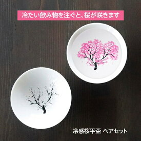 丸モ高木陶器 盃 平盃 桜 冷感桜 冷感盃 冷感 色が変わる 2個セット ペアセット 70ml×2 日本製