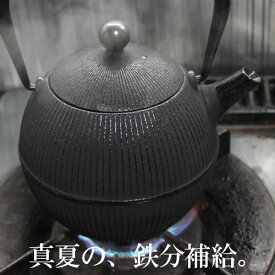 ＼買うなら今です！／ 南部鉄器 鉄瓶 南部鉄瓶 直火 0.8L 手まり 鉄分補給 鉄分不足 貧血予防 白湯 やかん ホーロー加工なし 岩手県 日本製