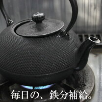 楽天市場】鉄瓶 南部宝星堂の通販