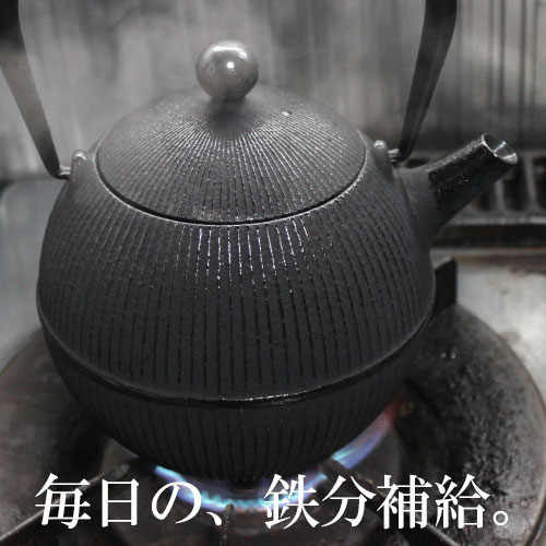 【毎日の鉄分補給】 南部鉄器 鉄瓶 直火 0.8L てまり ホーローなし 日本製