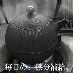 yyV191T1ʁIz 암S Sr 암Sr  0.8L ܂ S⋋ Ss n\h  S₩ z[[HȂ 茧 {