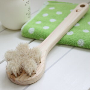 󑐃A[guV Ђ̂̃{fBuV w n {fBuV Ђ̂ 烍O NIpg { Ki