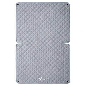 t@XJ@ȃpC~pbh@iRpNgxbhFREEpj