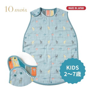 tBZ X[p[ fBi10moisj { Amelie(A) 6dK[[X[p[ 21251023@iLbYX[p[jӂӂK[[ yboxz