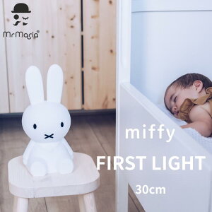 _ubNtCf[P10{^̎S ~btB[ Cg 30cm Ki ~btB[t@[XgCg R[hX ԐڏƖ ق񃉃Cg CeA k G [d Q q 