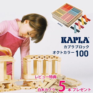 r[T  Ki JviKAPLAjςݖ INgJ[(8F) iS100j
