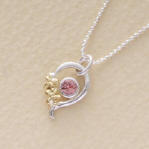 ԃ`[tlbNX fulful Vo[ K18 VpK[lbg zCgf[