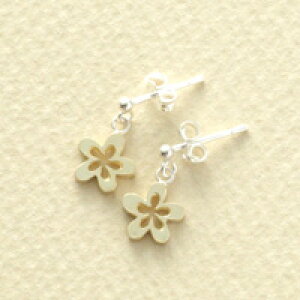 Ԃ̃sAX Vo[&K18sAX@zCgf[