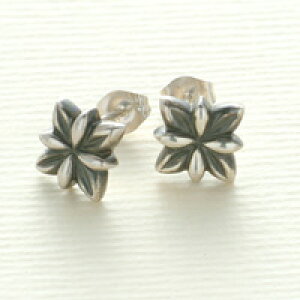 Vo[sAX Ԃ̃`[tsAX zCgf[