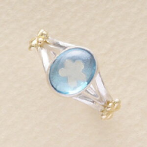 u[gp[Y Vo[&K18 O Ԃ̃O@zCgf[