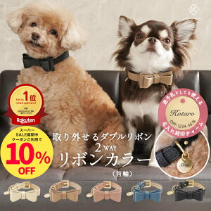 _SSԒ10OFFN[|zz^2WAY{J[ _u{ǉł܂   ^ ps[ ybg v obN{ U ł O `[ qD  