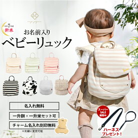 令和7年新米 ＼SS期間中ハーネスプレゼント 12/11 1:59迄／名入れ無料 ベビー リュック 一升餅リュック 1歳 誕生日 プレゼント ベビーリュック ピンク かわいい 名入れ リュックサック 一升餅セット 小分け 一升米 一升餅 贈り物 男の子 女の子 選び取りカード 出産祝い