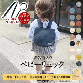 【ランキング1位】名入れ 無料 ベビー リュック 1歳 誕生日プレゼント ベビーリュック一升餅リュック 小分け 一升餅 一升米 令和6年産 コシヒカリ 選び取りカード 刺繍 ギフト 出産祝い男の子 女の子 一生餅 一生米ラッピング