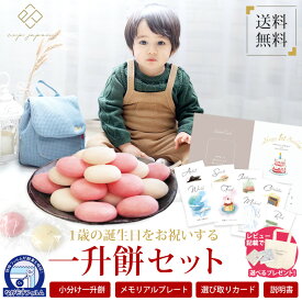 一升餅 お祝い セット プレゼント ギフト 一生餅 1歳 誕生日 小分け 男の子 女の子 インスタ映え 選び取りカード お餅 背負い餅 【送料無料（北海道・沖縄除く）】【最短翌日配達】
