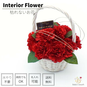 CeAt[ () ς̃}U[ J[l[V bh AWg ͂Ȃ A[eBVt[ ̓ hV̓ a@ { Mtg v[g 蕨 a