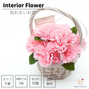 CeAt[ () ς̃}U[ J[l[V sN AWg ͂Ȃ A[eBVt[ ̓ hV̓ a@ { Mtg v[g 蕨 